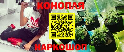 каннабис Краснодар