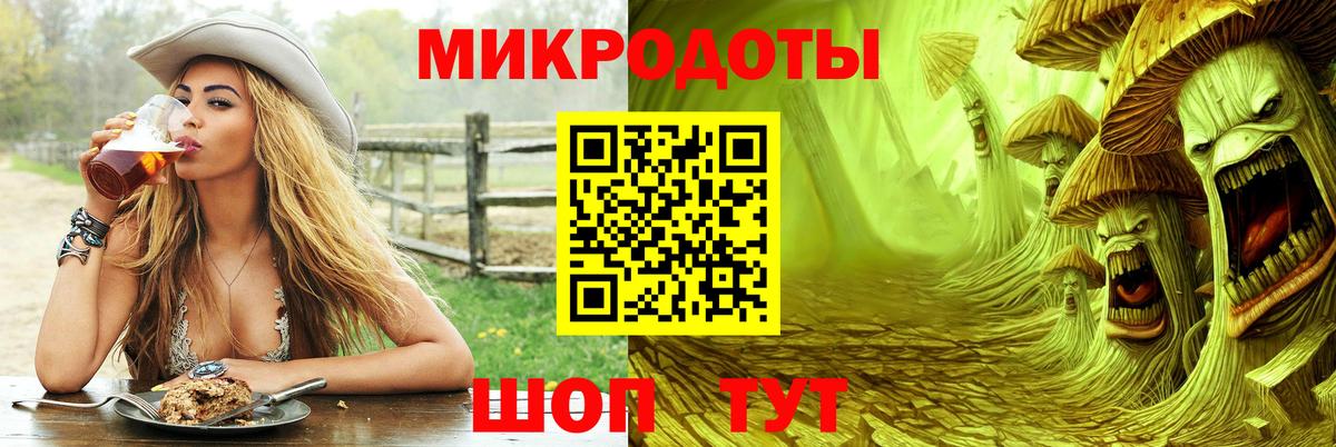 Псилоцибиновые грибы ЛСД  Вход с VPN  Камень-на-Оби  Галлюциногенные грибы Psilocybe 